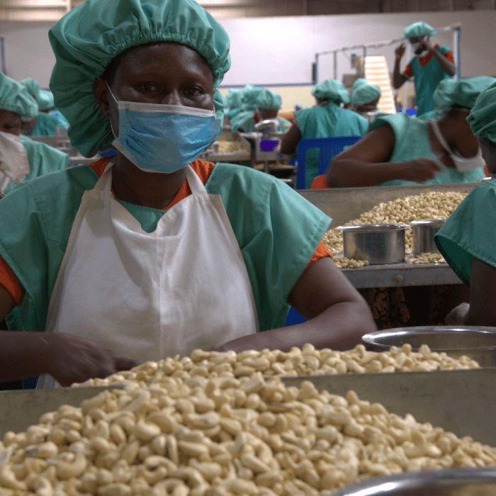 Weekly wholesale delivery operations across the European Union