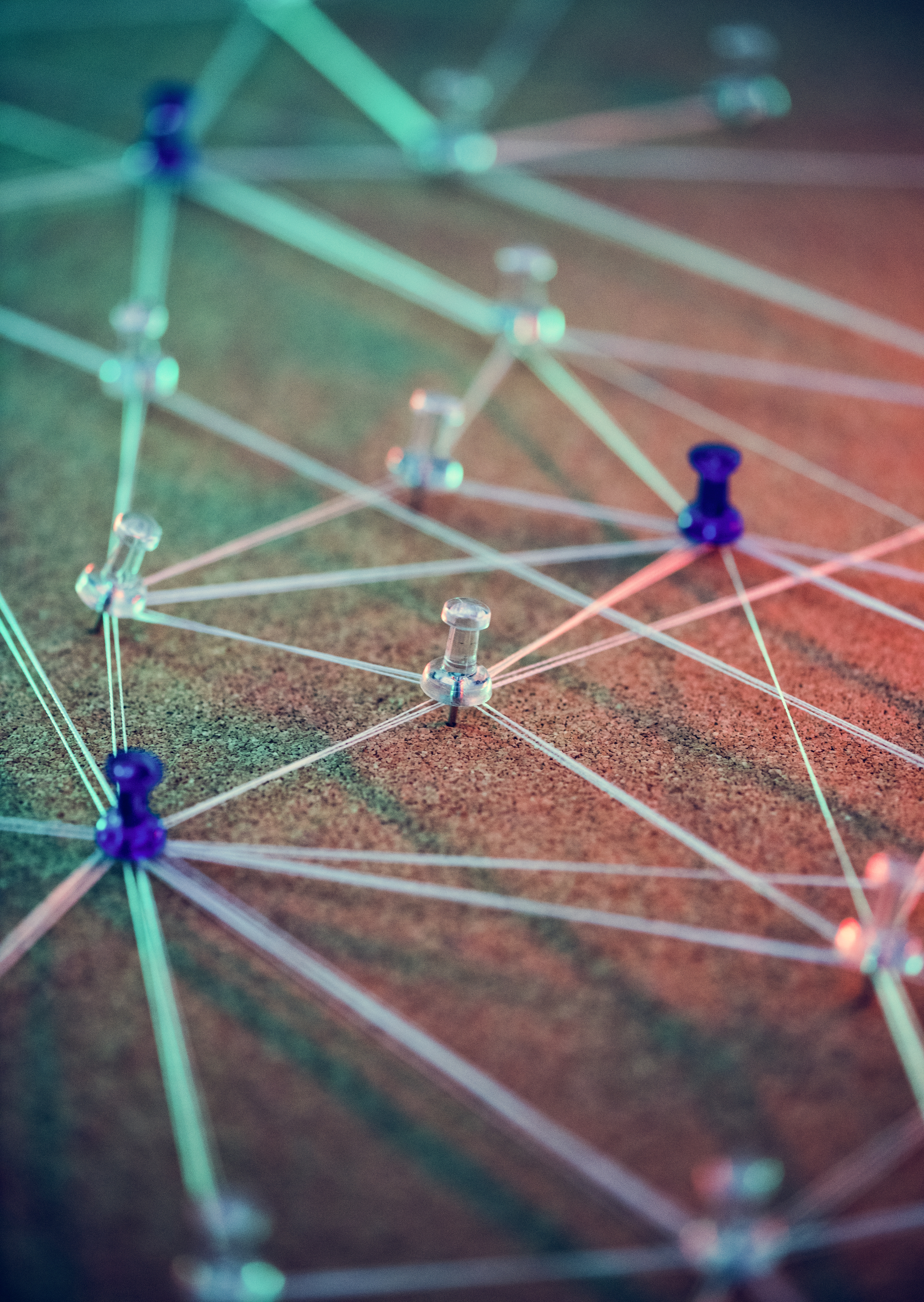 Wholesale delivery services for restaurants and hotels